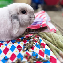 Load image into Gallery viewer, HayPigs!® Dandelion & Burdock™ (150g) in Eco Refill Bag