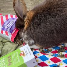 Load image into Gallery viewer, HayPigs!® Dandelion & Burdock™ (150g) in Eco Refill Bag