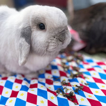 Load image into Gallery viewer, HayPigs!® Harlequin Collection - Reversible Pads™ - Set of 3