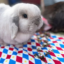 Load image into Gallery viewer, HayPigs!® Harlequin Collection - Reversible Pads™ - Set of 3