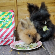 Load image into Gallery viewer, HayPigs!® Lemon & Lime Leaves™ (90g) in Eco Refill Bag