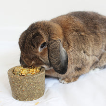 Load image into Gallery viewer, Little One Flower Bowl Treat Toy 120g