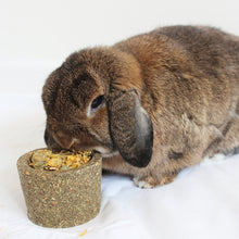 Load image into Gallery viewer, Little One Flower Bowl Treat Toy 120g