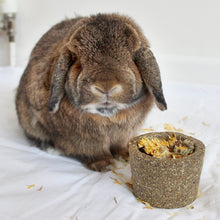 Load image into Gallery viewer, Little One Flower Bowl Treat Toy 120g