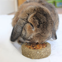 Load image into Gallery viewer, Little One Vegetable Pizza Treat 55g - 1 Pack