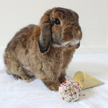 Load image into Gallery viewer, Rosewood Naturals Raspberry ‘n’ Coconut Cone