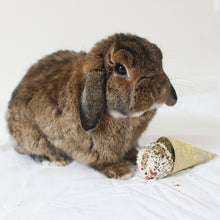 Load image into Gallery viewer, Rosewood Naturals Raspberry ‘n’ Coconut Cone