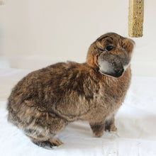 Load image into Gallery viewer, Rosewood Sunflower & Camomile Sticks 140g