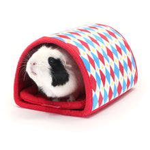 Load image into Gallery viewer, BUNDLE OFFER: HayPigs!® Harlequin Collection – TUNNEL & PADS