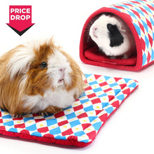 Load image into Gallery viewer, BUNDLE OFFER: HayPigs!® Harlequin Collection – TUNNEL & PADS