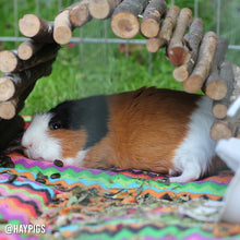 Load image into Gallery viewer, Trixie Natural Living Flexible Bark Wood Bridge - Large