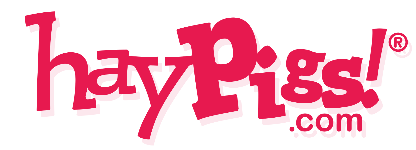 Best shavings sales for guinea pigs