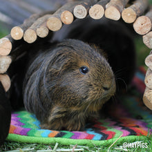 Load image into Gallery viewer, Trixie Natural Living Flexible Bark Wood Bridge - Large