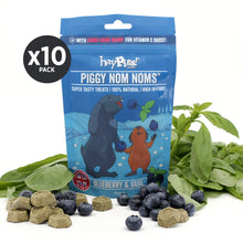 Load image into Gallery viewer, HayPigs!® Piggy Nom Noms™ - Blueberry & Basil 70g