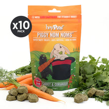 Load image into Gallery viewer, HayPigs!® Piggy Nom Noms™ - Carrot & Coriander 70g
