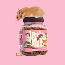 Load image into Gallery viewer, Little One Mealworms Snack 70g