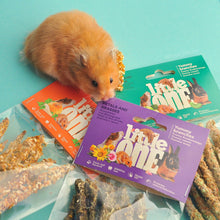 Load image into Gallery viewer, Little One Yummy Branches with Parsnip and Pumpkin Snack 35g