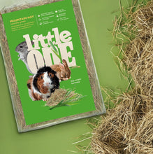 Load image into Gallery viewer, Little One Mountain Hay (not pressed) 400g or 1kg