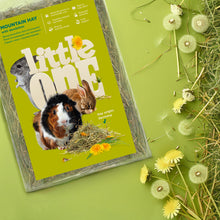 Load image into Gallery viewer, Little One Mountain Hay with Dandelion (not pressed) 400g