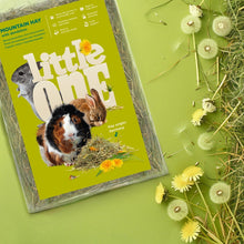 Load image into Gallery viewer, Little One Mountain Hay with Dandelion (not pressed) 400g