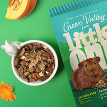 Load image into Gallery viewer, Little One 'Green Valley' Fibrefood for Guinea Pigs 750g