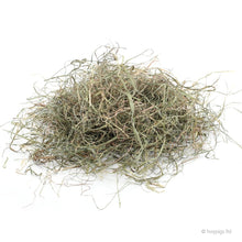 Load image into Gallery viewer, The Little Hay Co. Silky Soft Hay 5kg or 10kg