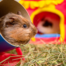 Load image into Gallery viewer, The Little Hay Co. Silky Soft Hay 5kg or 10kg