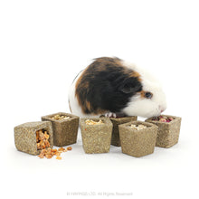 Load image into Gallery viewer, Little One Bowl with Filling - 6 Flavours (Parsnip, Zucchini, Carrot, Apple, Rose Buds, Pumpkin) 65g