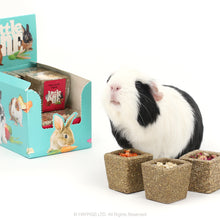 Load image into Gallery viewer, Little One Bowl with Filling - 6 Flavours (Parsnip, Zucchini, Carrot, Apple, Rose Buds, Pumpkin) 65g