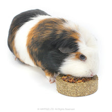 Load image into Gallery viewer, Little One Vegetable Pizza Treat 55g - 1 Pack