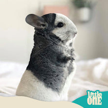 Load image into Gallery viewer, Little One Feed for Chinchillas 900g