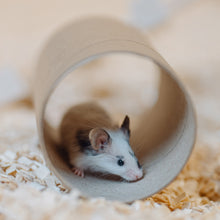 Load image into Gallery viewer, Millamore Cardboard Tunnel (S/M/L)