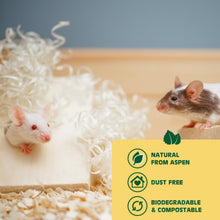 Load image into Gallery viewer, Millamore Nestpads (8pcs)