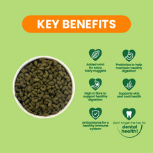 Load image into Gallery viewer, Burgess Excel Adult Guinea Pig Nuggets with Mint