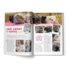 Load image into Gallery viewer, Guinea Pig Magazine Subscription Issue 90
