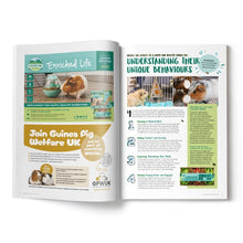 Load image into Gallery viewer, Guinea Pig Magazine Subscription