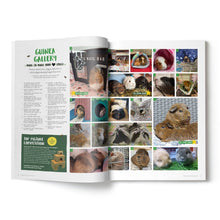 Load image into Gallery viewer, Guinea Pig Magazine Subscription