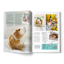 Load image into Gallery viewer, Guinea Pig Magazine - Issue 87 (July / Aug 2025)