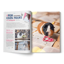 Load image into Gallery viewer, Guinea Pig Magazine - Issue 89 (Nov / Dec 2025) - Preview Page