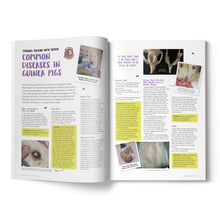 Load image into Gallery viewer, Guinea Pig Magazine - Issue 88 (Sept / Oct 2025)