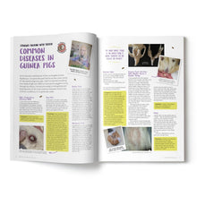 Load image into Gallery viewer, Guinea Pig Magazine - Issue 88 (Sept / Oct 2025)