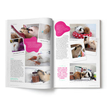 Load image into Gallery viewer, Guinea Pig Magazine Subscription