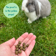 Load image into Gallery viewer, HayDay Moreish Meadow Hay (1kg or 2.7kg)