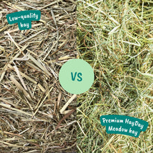 Load image into Gallery viewer, HayDay Moreish Meadow Hay (1kg or 2.7kg)