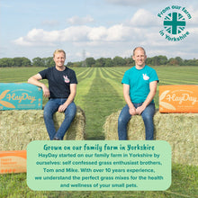 Load image into Gallery viewer, HayDay Moreish Meadow Hay (1kg or 2.7kg)