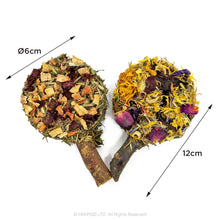 Load image into Gallery viewer, Natural Nibbles Flower & Veggie Lollipops