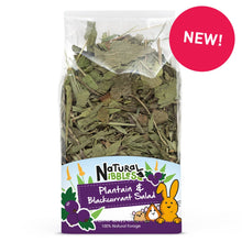 Load image into Gallery viewer, Natural Nibbles Plantain & Blackcurrant Salad 100g