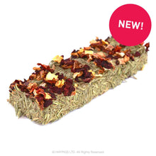 Load image into Gallery viewer, Nature's Own Forage Bar with Mixed Vegetables 45g