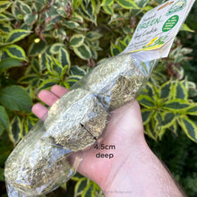 Load image into Gallery viewer, Nature's Own Hay Cookies with Dandelion & Peppermint (3pk) 200g