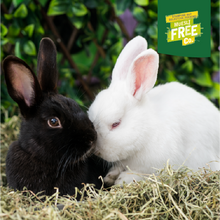 Load image into Gallery viewer, Burgess Excel Rabbit Adult with Oregano 1.5kg